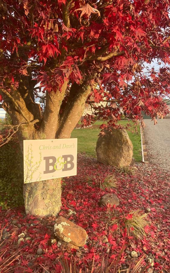 Chris And Dave'S B & B โอโตโรฮังกา ภายนอก รูปภาพ
